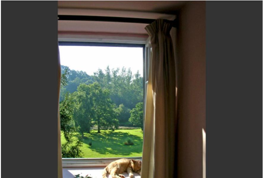 Chambres D'Hotes La Baudriere Livaie 객실 사진